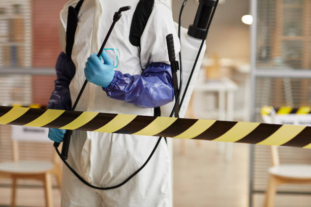 Professional Sewage Cleanup technician working in Hathaway Pines, CA