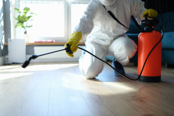 Reliable Sewage Cleanup contractor in Hathaway Pines, CA by Trauma Clean Pros